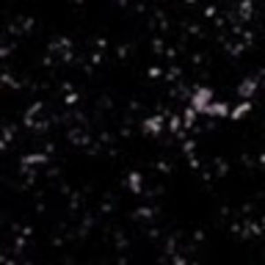 Meet your Posher, Brady